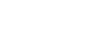 Hospital israelita albert einstein logo vector 1